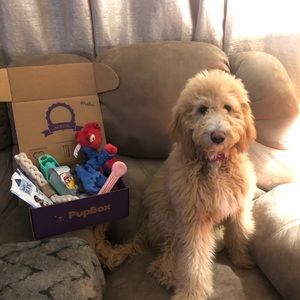 Meet your Posher, Cameron